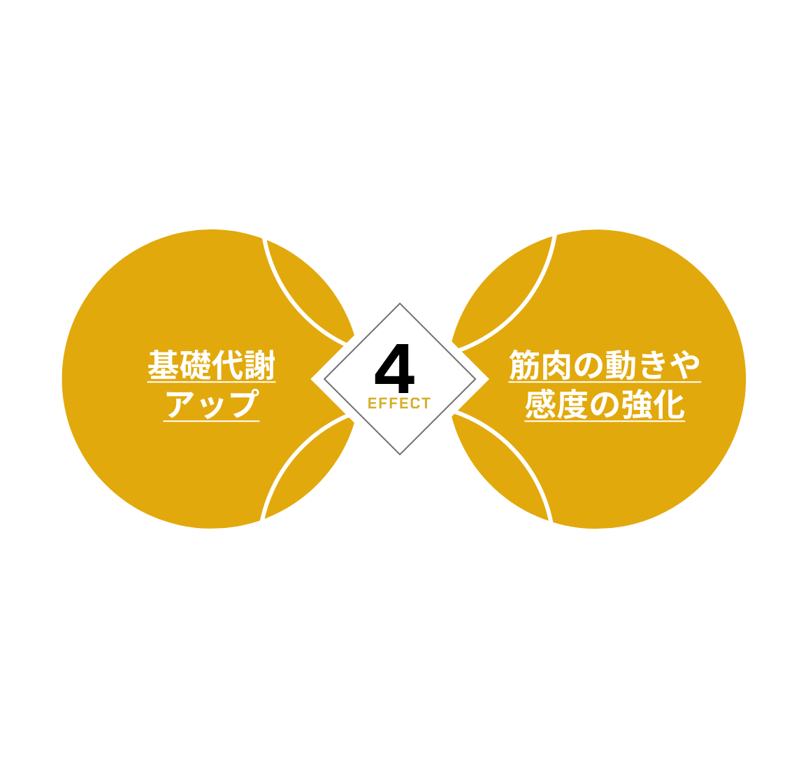 EMSトレーニングの4つの効果(図)